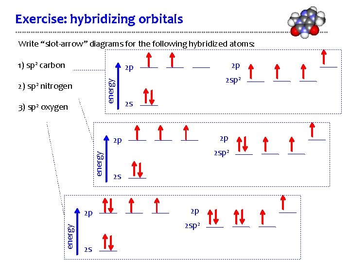 Exercise: hybridizing orbitals Write “slot-arrow” diagrams for the following hybridized atoms: 1) sp 2