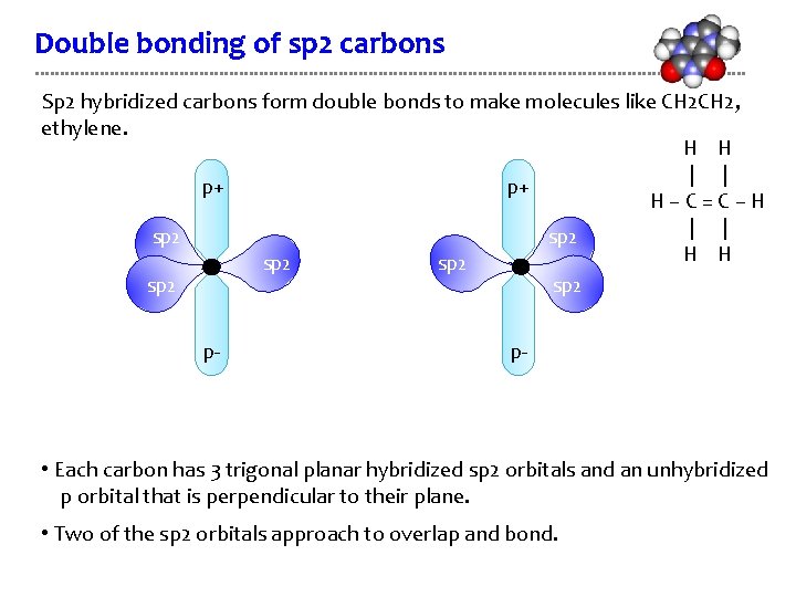 Double bonding of sp 2 carbons Sp 2 hybridized carbons form double bonds to
