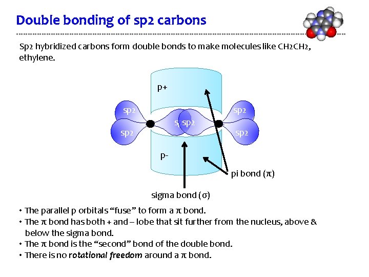 Double bonding of sp 2 carbons Sp 2 hybridized carbons form double bonds to