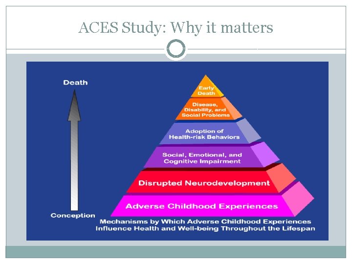 ACES Study: Why it matters 