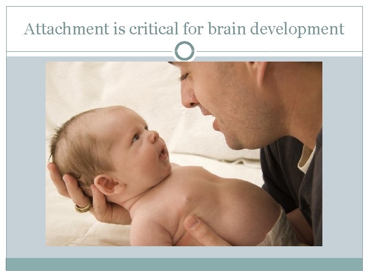 Attachment is critical for brain development 