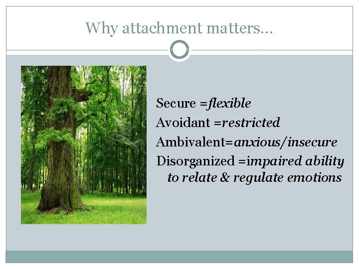 Why attachment matters… Secure =flexible Avoidant =restricted Ambivalent=anxious/insecure Disorganized =impaired ability to relate &