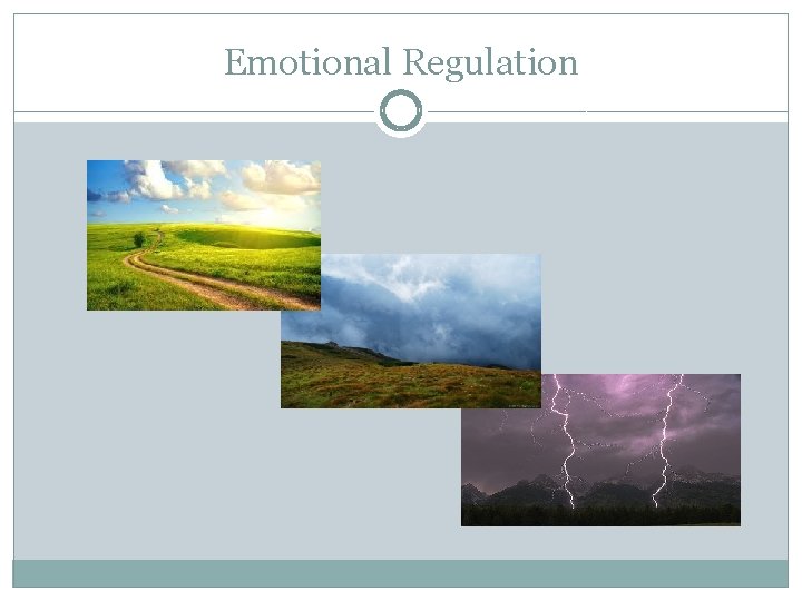 Emotional Regulation 
