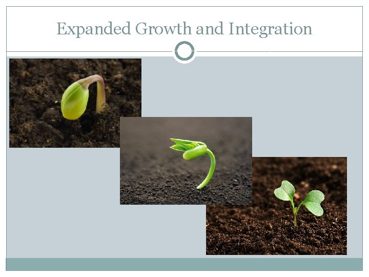 Expanded Growth and Integration 