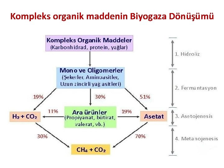 Kompleks organik maddenin Biyogaza Dönüşümü 