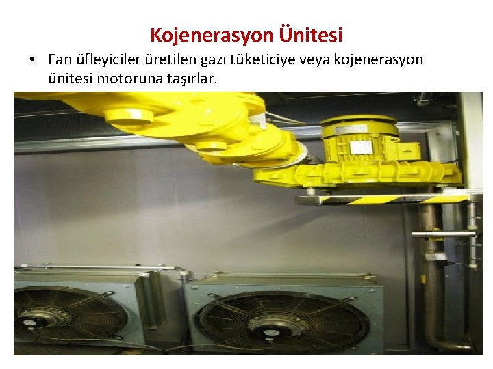 Kojenerasyon Ünitesi • Fan üfleyiciler üretilen gazı tüketiciye veya kojenerasyon ünitesi motoruna taşırlar. 