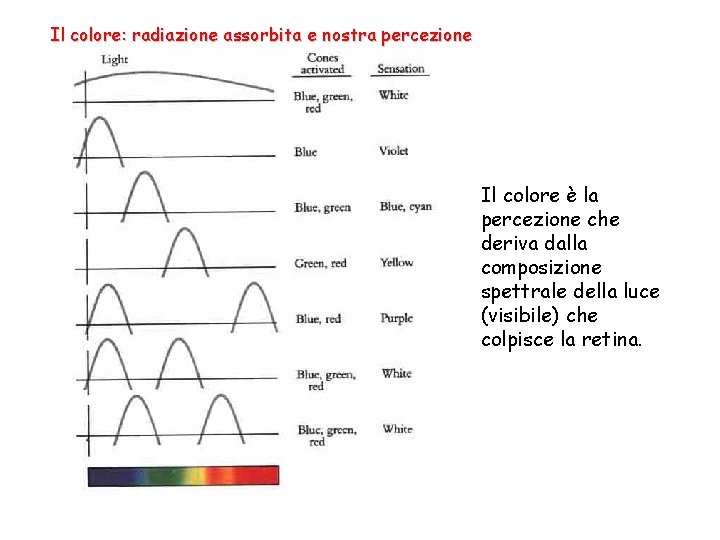 Il colore: radiazione assorbita e nostra percezione Il colore è la percezione che deriva