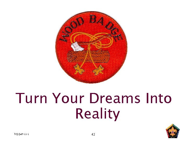 Turn Your Dreams Into Reality N 5 -347 -11 -1 42 