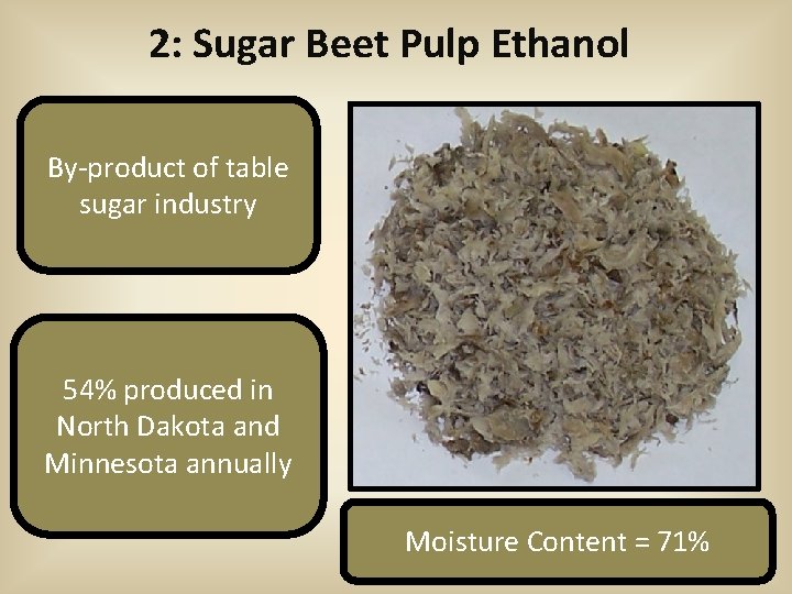 2: Sugar Beet Pulp Ethanol By-product of table sugar industry 54% produced in North