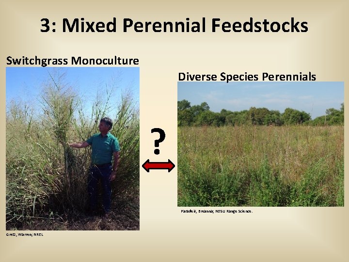 3: Mixed Perennial Feedstocks Switchgrass Monoculture Diverse Species Perennials ? Paradeis, Breanna; NDSU Range