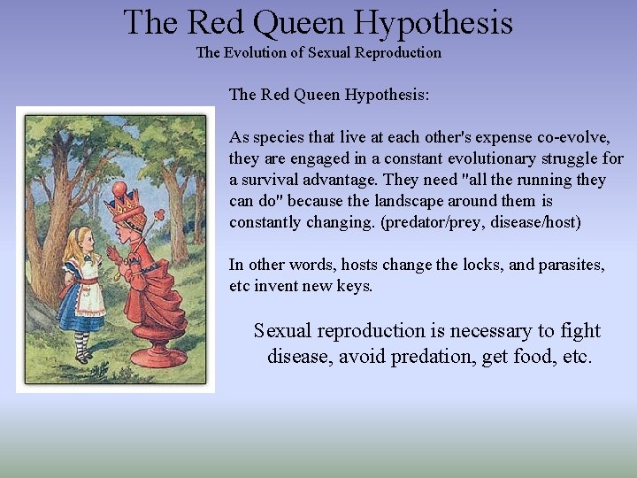 The Red Queen Hypothesis The Evolution of Sexual Reproduction The Red Queen Hypothesis: As