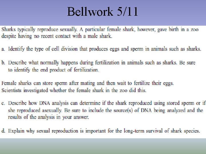 Bellwork 5/11 