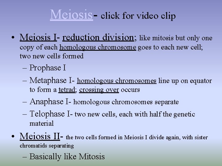 Meiosis- click for video clip • Meiosis I- reduction division; like mitosis but only