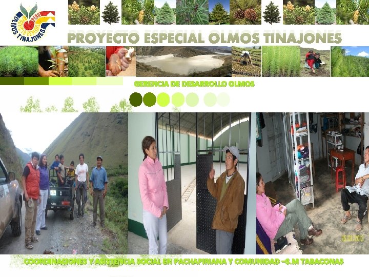 PROYECTO ESPECIAL OLMOS TINAJONES GERENCIA DE DESARROLLO OLMOS COORDINACIONES Y ASISTENCIA SOCIAL EN PACHAPIRIANA