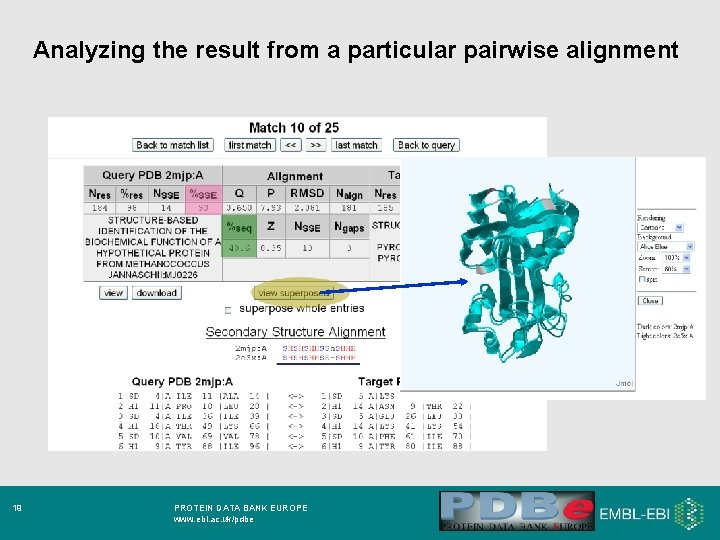 Analyzing the result from a particular pairwise alignment 19 PROTEIN DATA BANK EUROPE www.