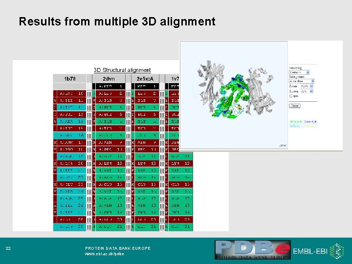 Results from multiple 3 D alignment 22 PROTEIN DATA BANK EUROPE www. ebi. ac.