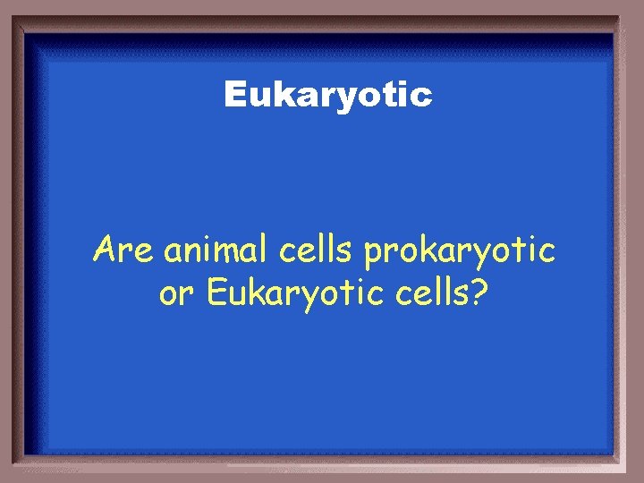 Eukaryotic Are animal cells prokaryotic or Eukaryotic cells? 
