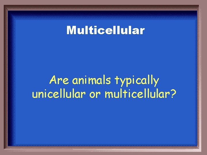 Multicellular Are animals typically unicellular or multicellular? 