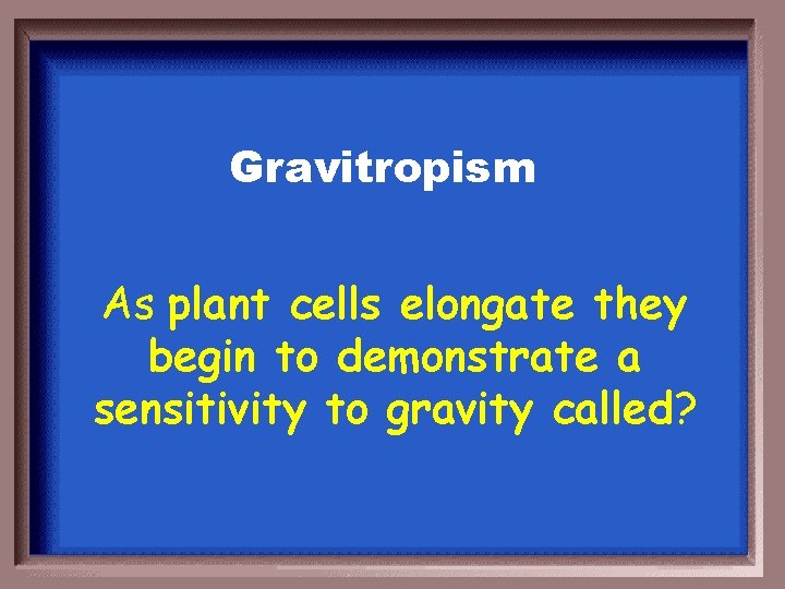 Gravitropism As plant cells elongate they begin to demonstrate a sensitivity to gravity called?
