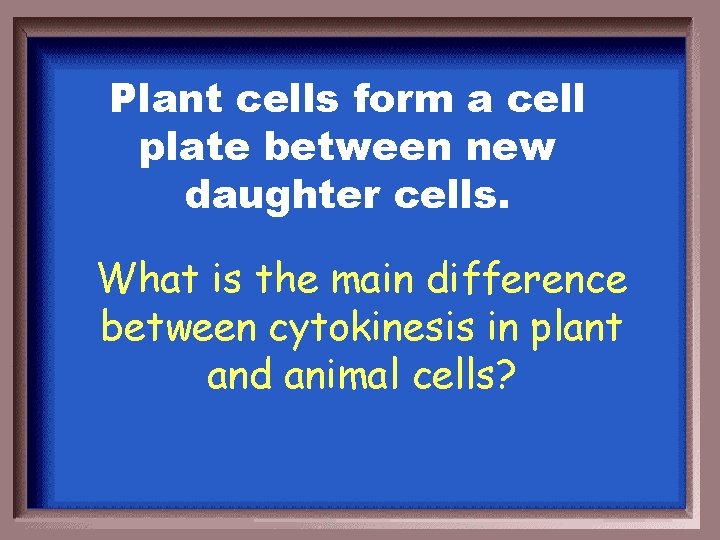 Plant cells form a cell plate between new daughter cells. What is the main