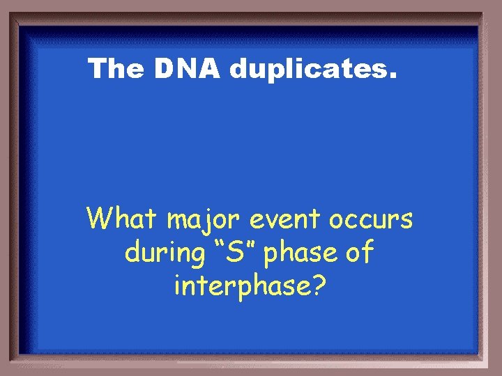 The DNA duplicates. What major event occurs during “S” phase of interphase? 