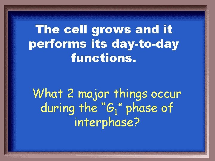 The cell grows and it performs its day-to-day functions. What 2 major things occur