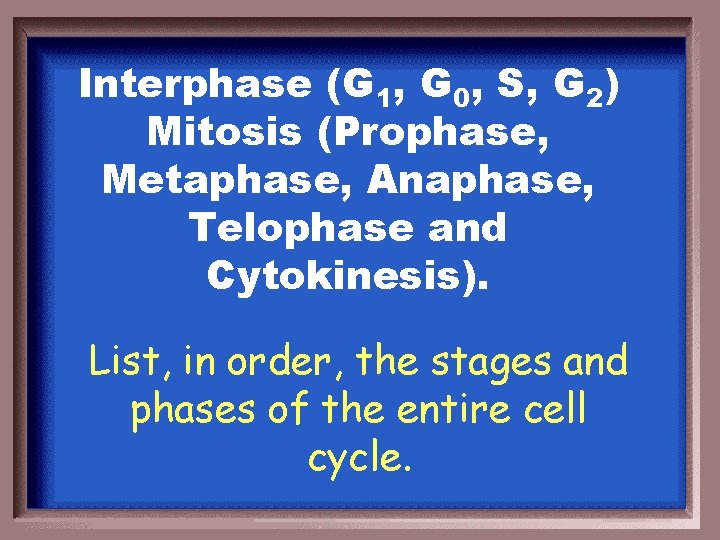 Interphase (G 1, G 0, S, G 2) Mitosis (Prophase, Metaphase, Anaphase, Telophase and