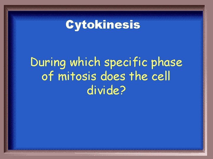 Cytokinesis During which specific phase of mitosis does the cell divide? 