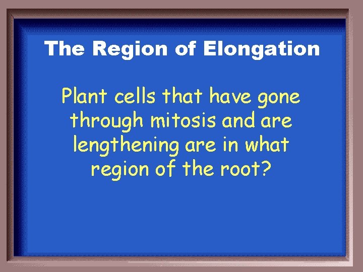 The Region of Elongation Plant cells that have gone through mitosis and are lengthening