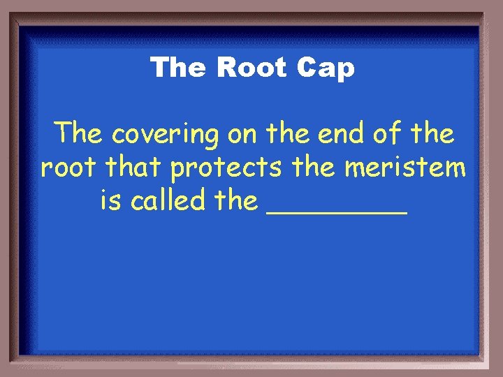The Root Cap The covering on the end of the root that protects the