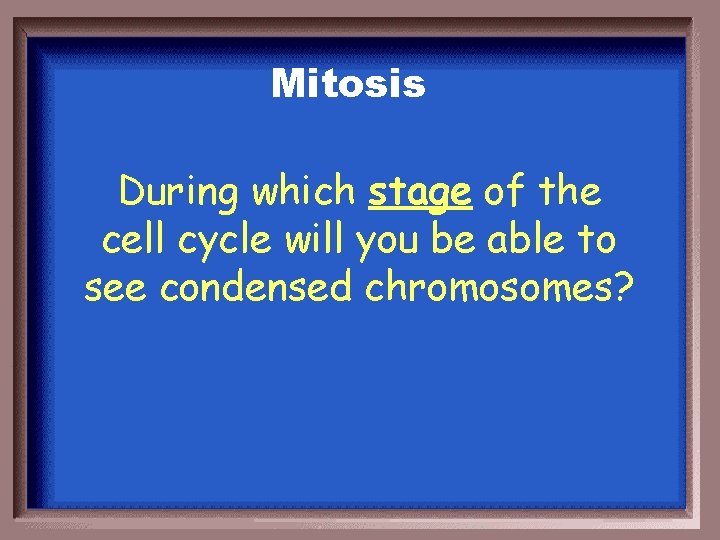 Mitosis During which stage of the cell cycle will you be able to see