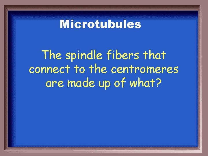 Microtubules The spindle fibers that connect to the centromeres are made up of what?