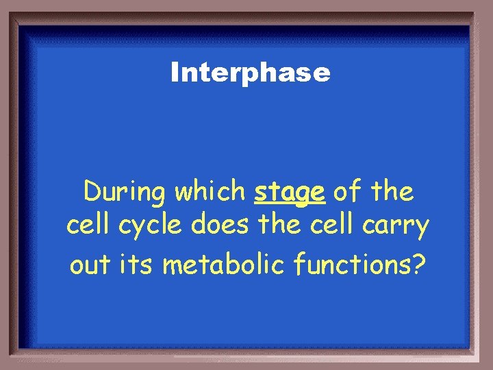 Interphase During which stage of the cell cycle does the cell carry out its