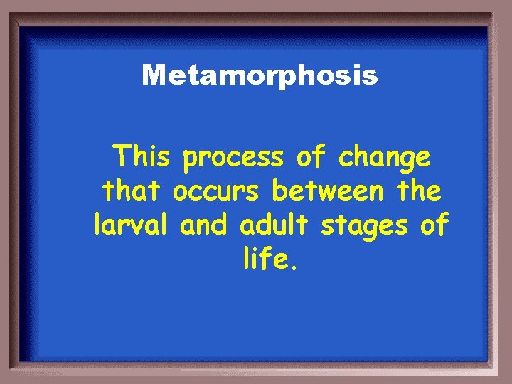 Metamorphosis This process of change that occurs between the larval and adult stages of