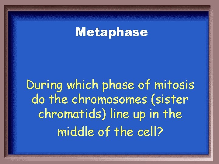 Metaphase During which phase of mitosis do the chromosomes (sister chromatids) line up in