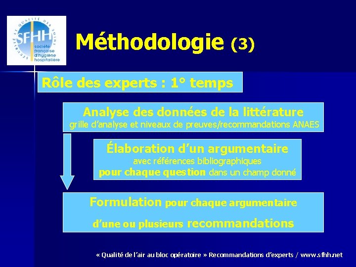 Méthodologie (3) Rôle des experts : 1° temps Analyse des données de la littérature