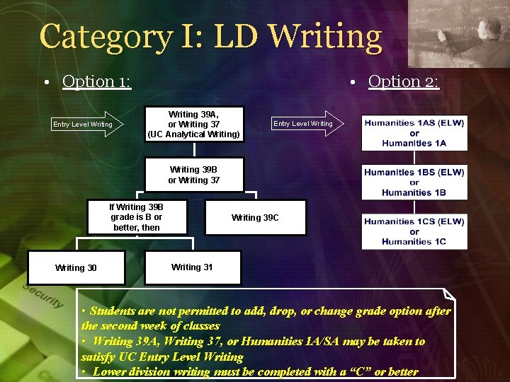 Category I: LD Writing • Option 1: Entry Level Writing • Option 2: Writing