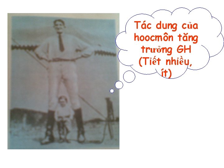 Tác dung của hoocmôn tăng trưởng GH (Tiết nhiều, ít) 