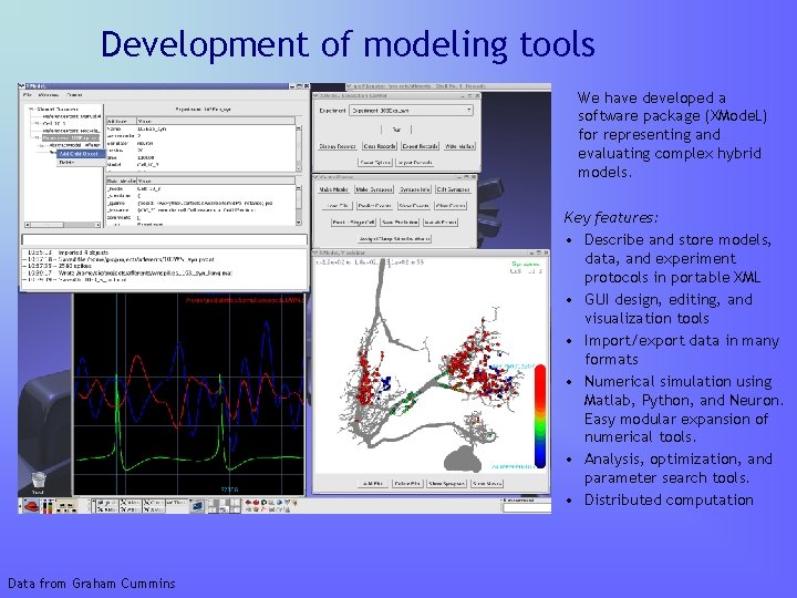 Development of modeling tools We have developed a software package (XMode. L) for representing Development of modeling tools We have developed a software package (XMode. L) for representing