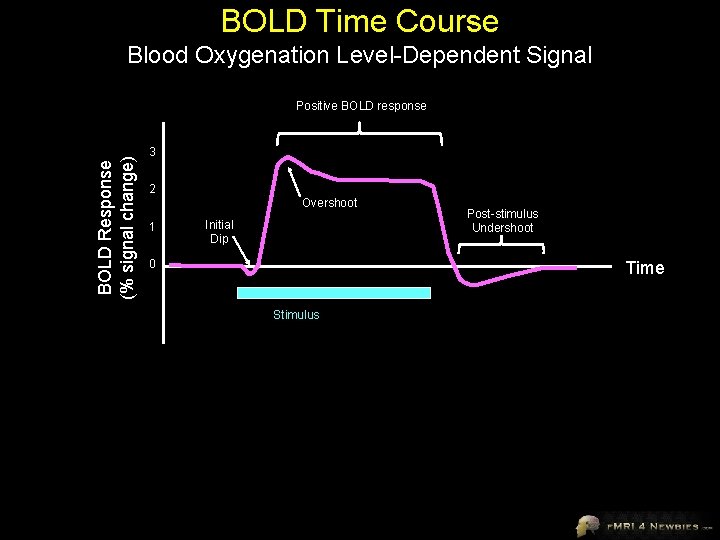 BOLD Time Course Blood Oxygenation Level-Dependent Signal BOLD Response (% signal change) Positive BOLD