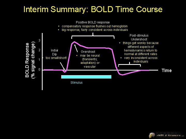 Interim Summary: BOLD Time Course BOLD Response (% signal change) Positive BOLD response •