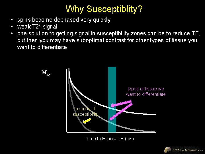 Why Susceptiblity? • spins become dephased very quickly • weak T 2* signal •