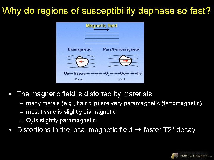 Why do regions of susceptibility dephase so fast? • The magnetic field is distorted