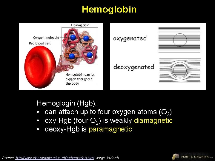 Hemoglobin Hemoglogin (Hgb): • can attach up to four oxygen atoms (O 2) •