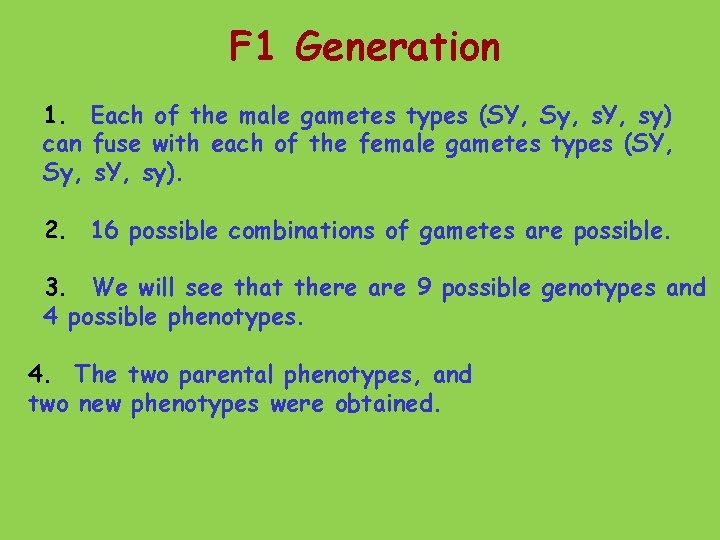 F 1 Generation 1. Each of the male gametes types (SY, Sy, s. Y,