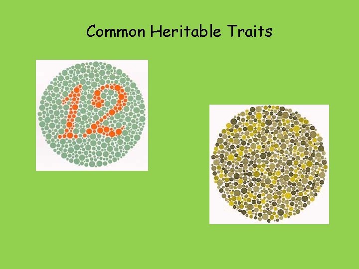 Common Heritable Traits 