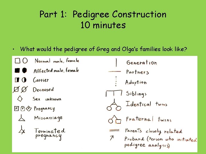 Part 1: Pedigree Construction 10 minutes • What would the pedigree of Greg and