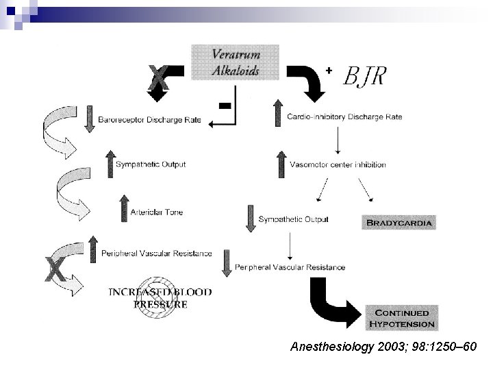 Anesthesiology 2003; 98: 1250– 60 