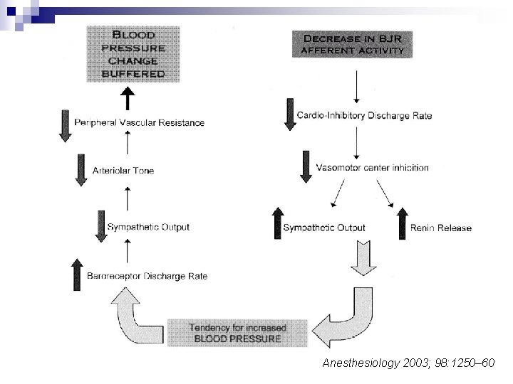 Anesthesiology 2003; 98: 1250– 60 
