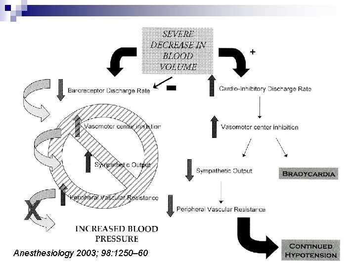 Anesthesiology 2003; 98: 1250– 60 